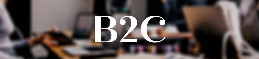 B2B: что это простым языком, как найти менеджера и продавать, отличия от B2C, B2G, C2C